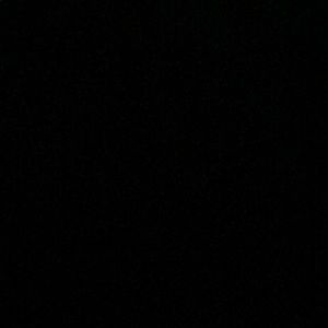 Meet your Posher, Maddie